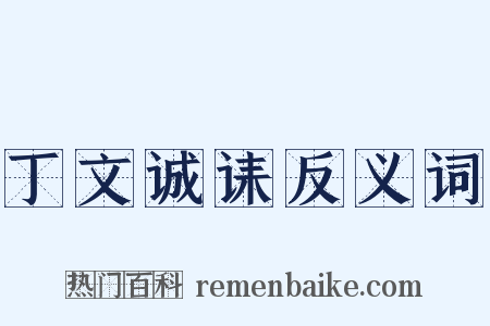 丁文诚诔反义词是什么意思的图片